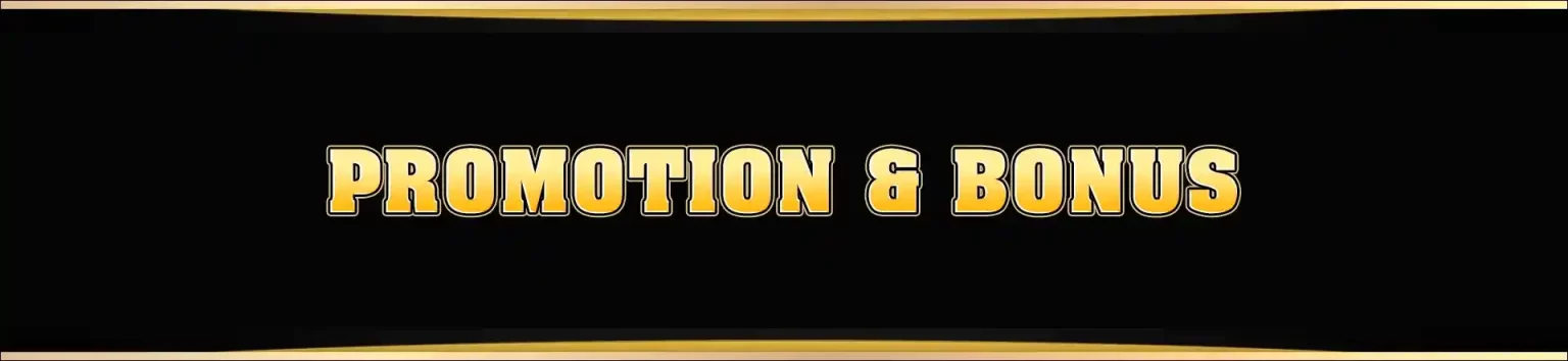 FANCYWIN Promotions